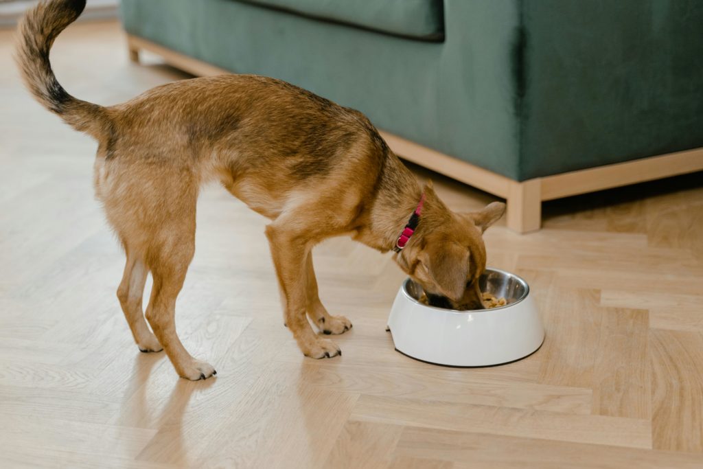 L‑Único Pet Food