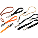 Varias correas de perro sobre fondo neutro