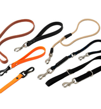 Varias correas de perro sobre fondo neutro
