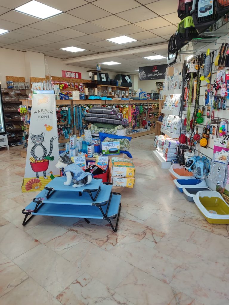 estética canina martos