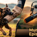 Imagen de portada dividida para el podcast Mundo K9 Episodio 6, mostrando a un Pastor Belga Malinois mordiendo una manga de entrenamiento intensivo junto a un micrófono de estudio profesional y un trofeo de oro de 'K9 ELITE SPAIN'. El texto superpuesto dice: 'Mundo K9 Episodio 6'.